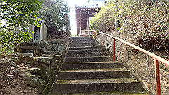 p3080554_thumb.jpg