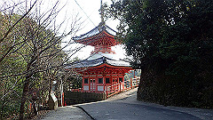 p3080556_thumb.jpg