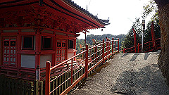 p3080558_thumb.jpg