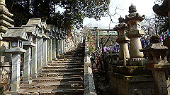 p3080565_thumb.jpg