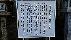 p3080566_thumb.jpg