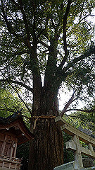 p3080567_thumb.jpg