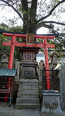 p3080571_thumb.jpg