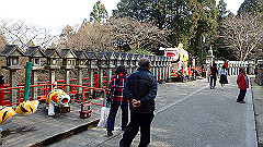 p3080575_thumb.jpg