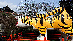 p3080577_thumb.jpg