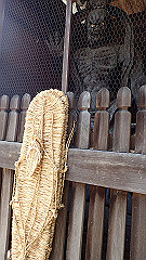 p3080583_thumb.jpg