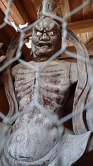 p3080584_thumb.jpg