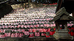p3080587_thumb.jpg