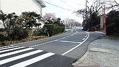 p3080590_thumb.jpg