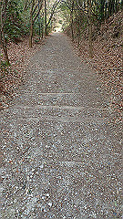 p3080597_thumb.jpg
