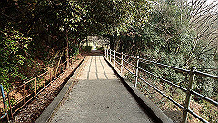 p3080598_thumb.jpg