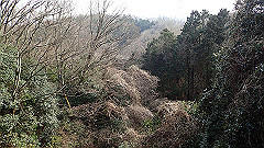 p3080599_thumb.jpg