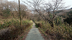 p3080600_thumb.jpg