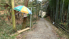 p3080601_thumb.jpg