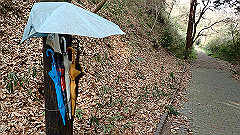 p3080602_thumb.jpg