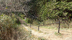 p3080605_thumb.jpg