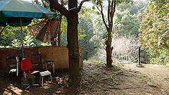 p3080606_thumb.jpg