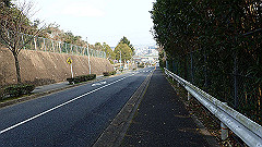 p3080615_thumb.jpg