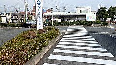 p3080619_thumb.jpg