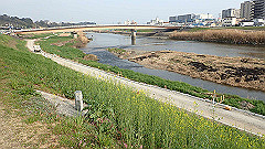 p3080632_thumb.jpg