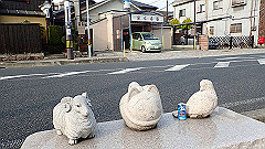 p3080642_thumb.jpg