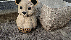 p3080646_thumb.jpg
