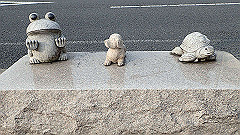 p3080648_thumb.jpg