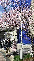 img_4054_thumb.jpg