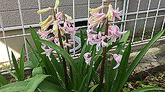 img_4079_thumb.jpg