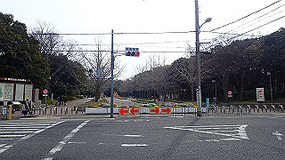 p3300671_thumb.jpg