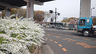 p3300693_thumb.jpg