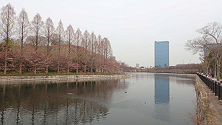 p3300701_thumb.jpg