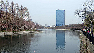 p3300702_thumb.jpg