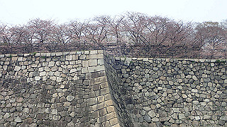 p3300708_thumb.jpg
