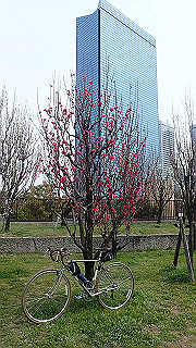 p3300709_thumb.jpg