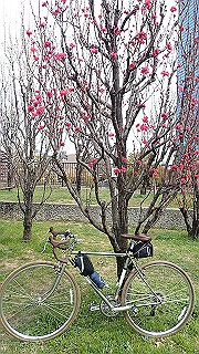p3300710_thumb.jpg