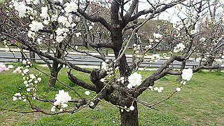 p3300712_thumb.jpg