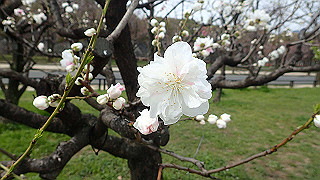 p3300713_thumb.jpg