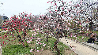 p3300715_thumb.jpg