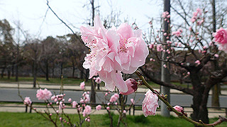 p3300717_thumb.jpg