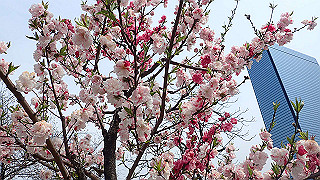 p3300721_thumb.jpg