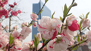 p3300722_thumb.jpg