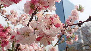 p3300723_thumb.jpg