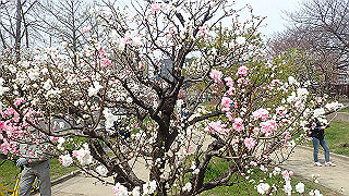 p3300724_thumb.jpg