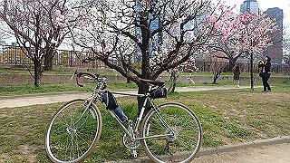 p3300728_thumb.jpg