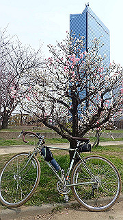 p3300729_thumb.jpg