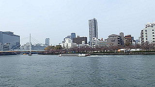 p3300741_thumb.jpg