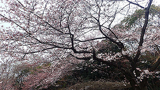 p3300743_thumb.jpg