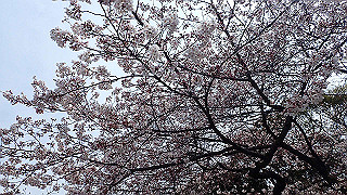 p3300744_thumb.jpg