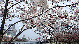 p3300745_thumb.jpg